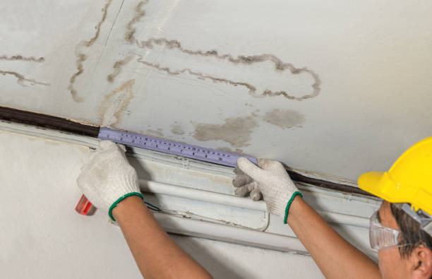 Reliable Water Damage contractor in Nashville, NC by Water Damage Irwin